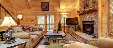 TV, fireplace, video-game console, DVD player