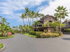 Property grounds - Ocean’s Edge w/Sunset View Lanai! WiFi, Modern Kitchen, TV, Washer/Dryer Kanaloa 2001 (KAILUA-KONA)