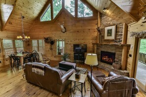 テレビ、暖炉、テレビゲーム機、DVD プレーヤー