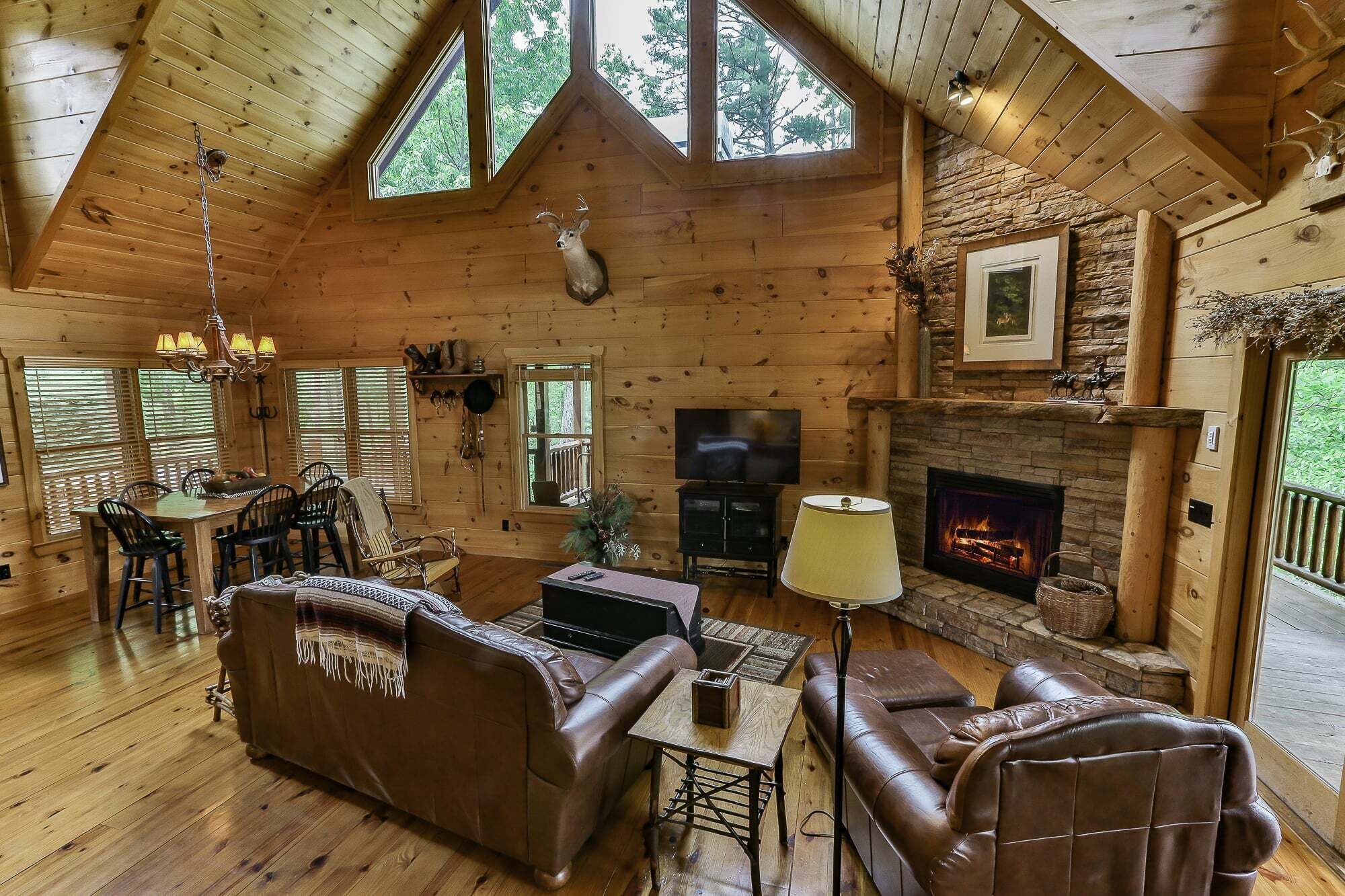 TV, fireplace, video-game console, DVD player