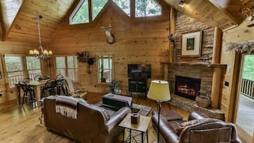 TV, fireplace, video-game console, DVD player