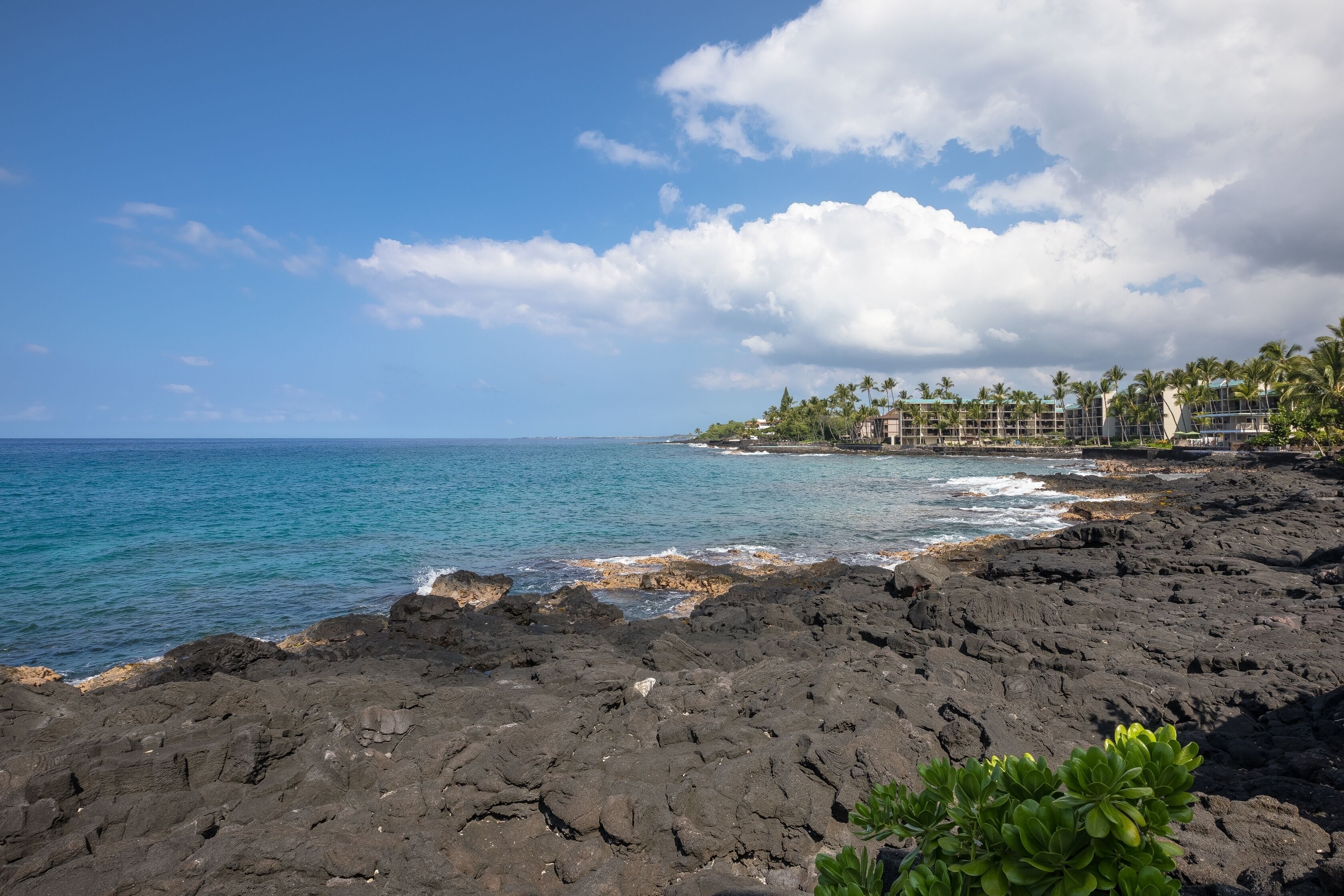 Sun loungers, beach towels