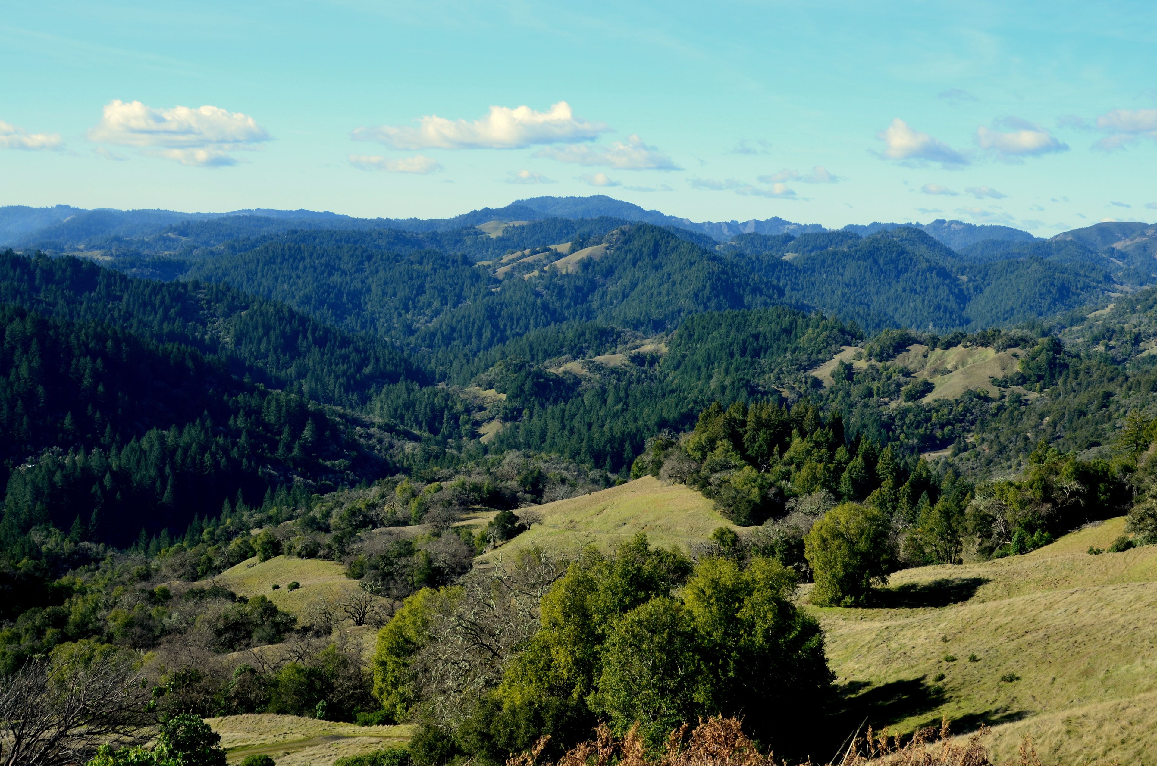 A panoramic view of a mountainous landscape with dense forests and rolling hills.