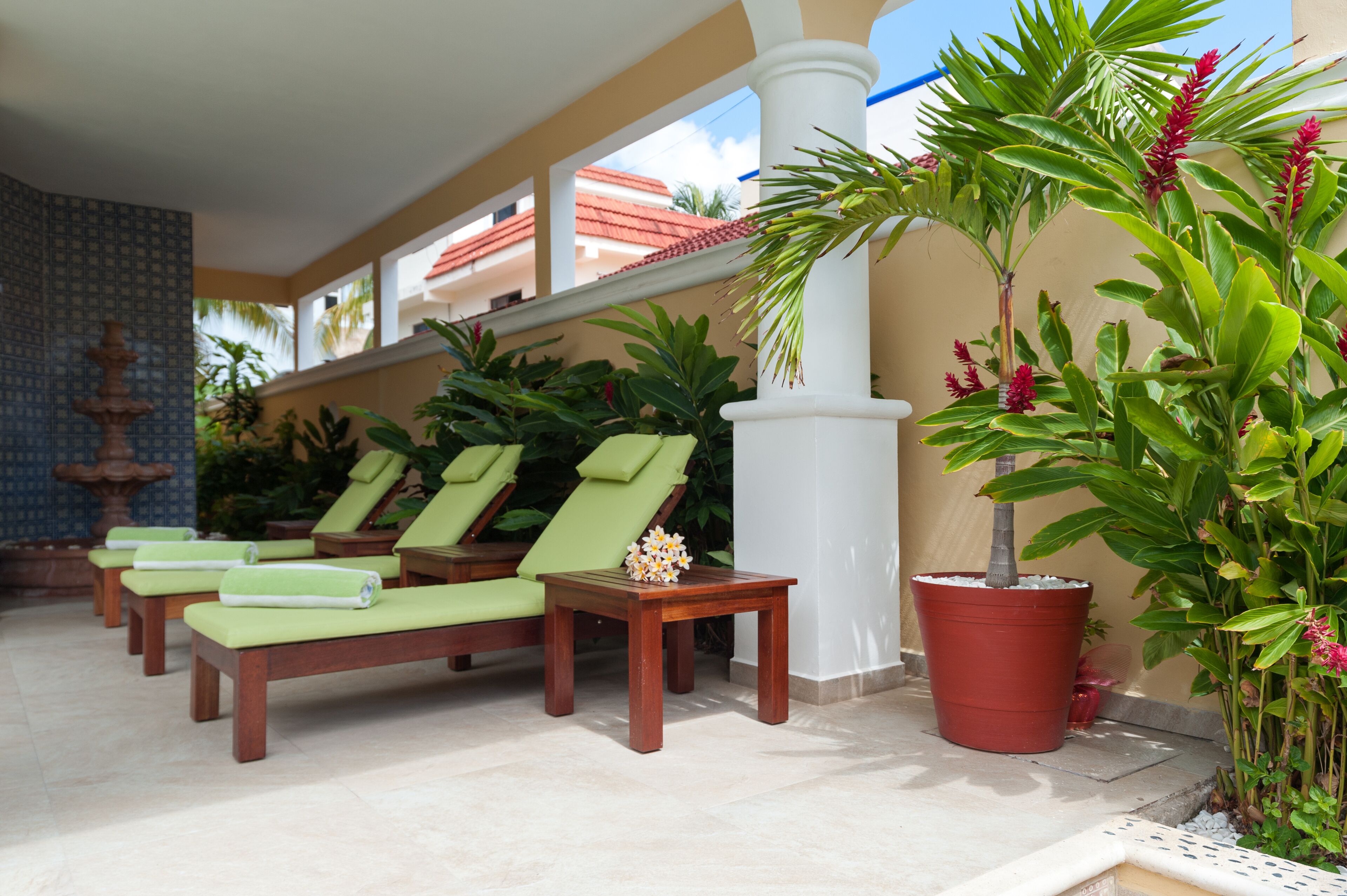 Terraza o patio