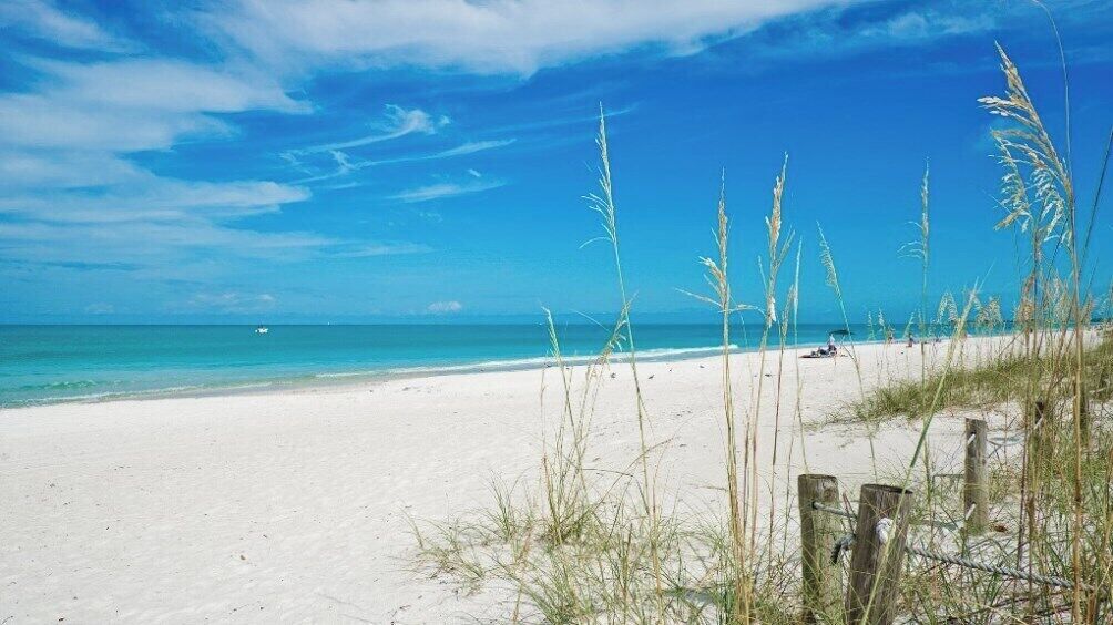 A beach with white sand, clear blue water, and sparse vegetation.