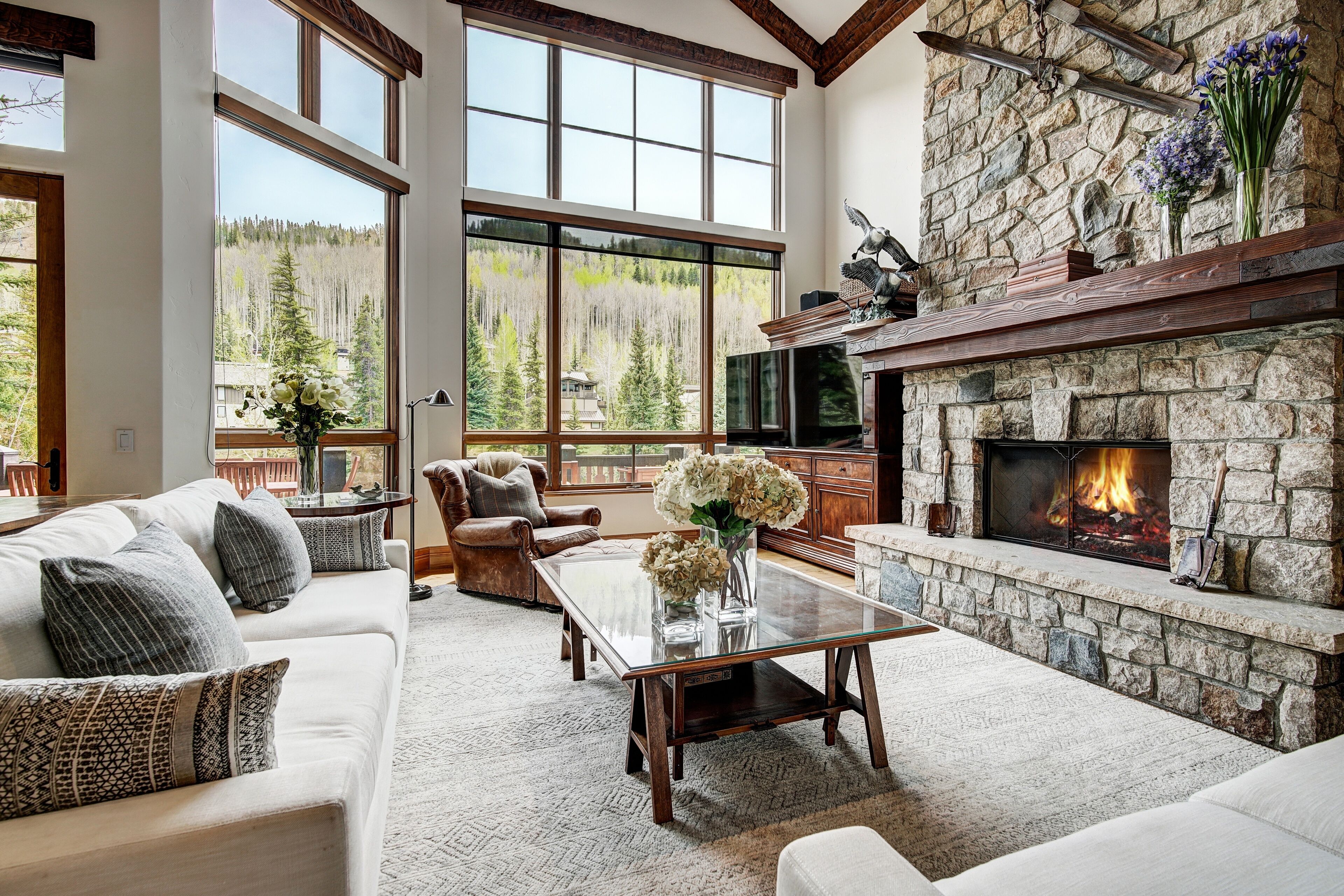 TV, fireplace, DVD player, stereo