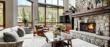 TV, fireplace, DVD player, stereo