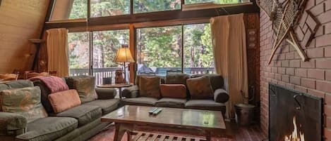 Télévision, cheminée, lecteur de DVD, livres