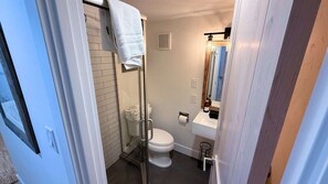 A bathroom with a white toilet, a glass shower enclosure, and a sink with a mirror above it.