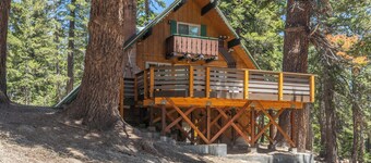 Chalet #21, Slope Side Ski in Ski Out Spacious Fam