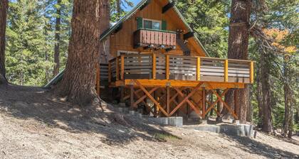Chalet #21, Slope Side Ski in Ski Out Spacious Fam