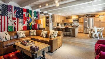 Télévision, cheminée, lecteur de DVD