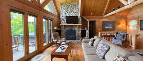 TV, fireplace, books