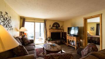 TV, fireplace, DVD player