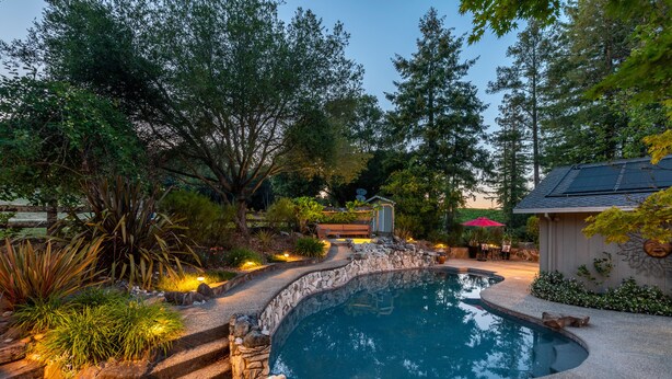 A swimming pool with a stone border, surrounded by trees and plants, and a small shed in the background.