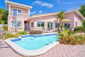 Immagine non classificata, 3 di 38, pulsante