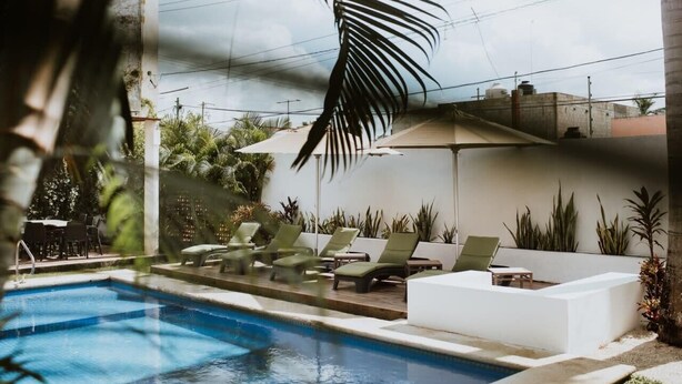 Un espace piscine avec des chaises longues et un palmier.