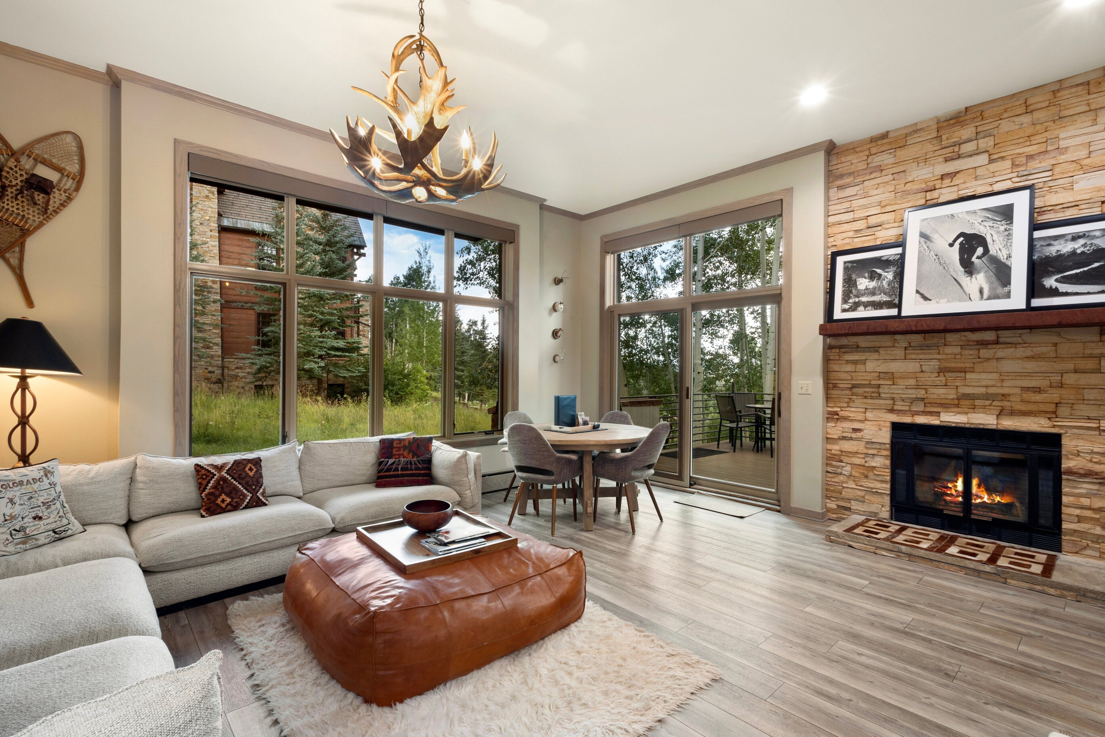Smart TV, fireplace, DVD player, books