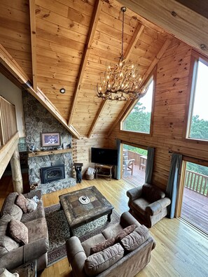 TV, fireplace, books