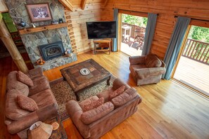 TV, fireplace, books