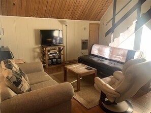 Televisión de pantalla plana, chimenea y reproductor de DVD 