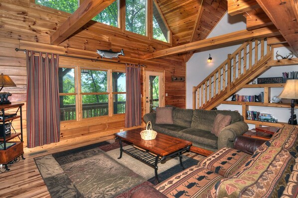 TV, fireplace, DVD player