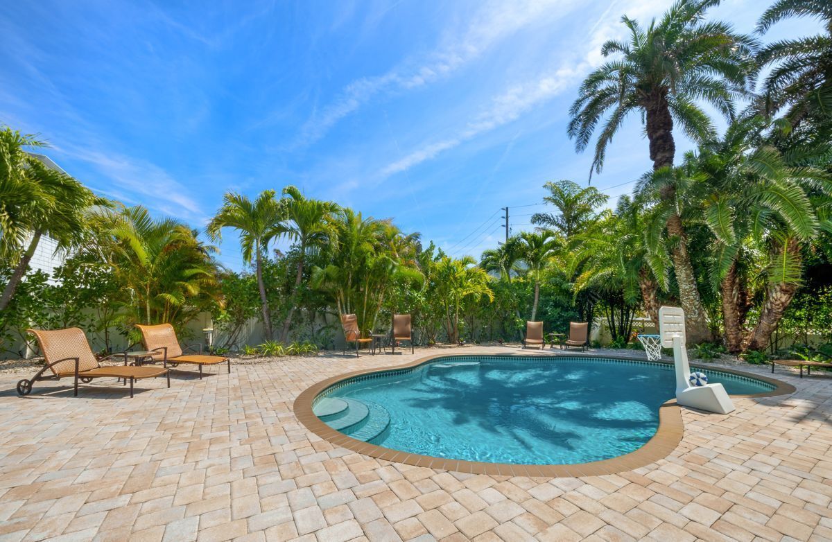 A swimming pool with lounge chairs and palm trees.
