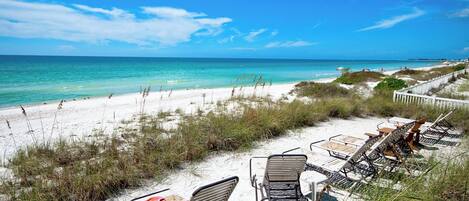 Playa en los alrededores