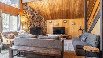 Télévision, cheminée, lecteur de DVD