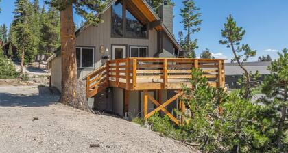 Ski In / Ski Out Slope Side Cabin Chalet # 19