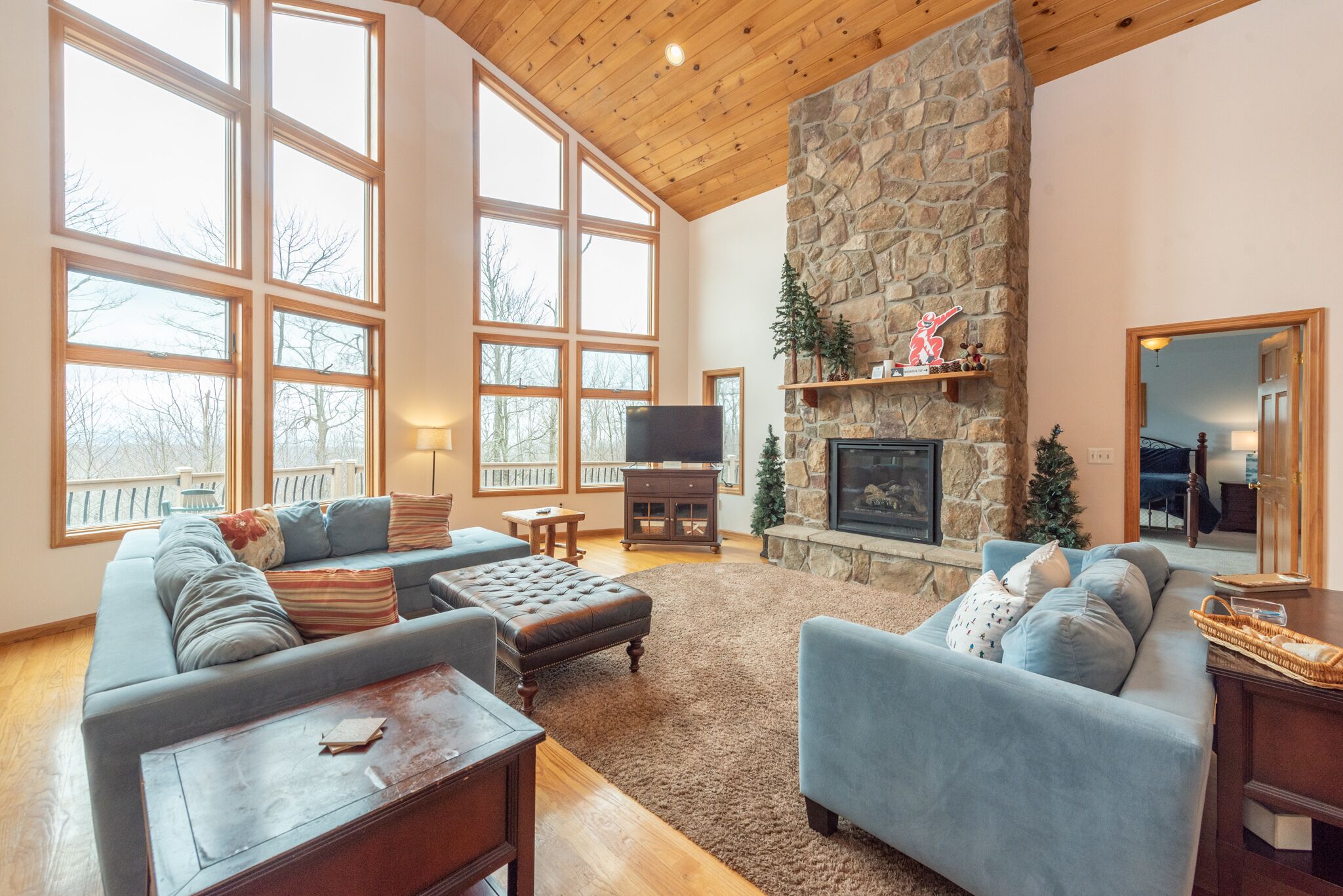 Smart TV, chimenea, reproductor de DVD