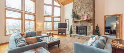 Smart TV, chimenea, reproductor de DVD