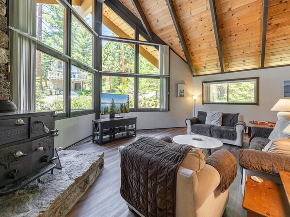 Smart TV, fireplace, DVD player, books