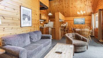 TV, fireplace, DVD player