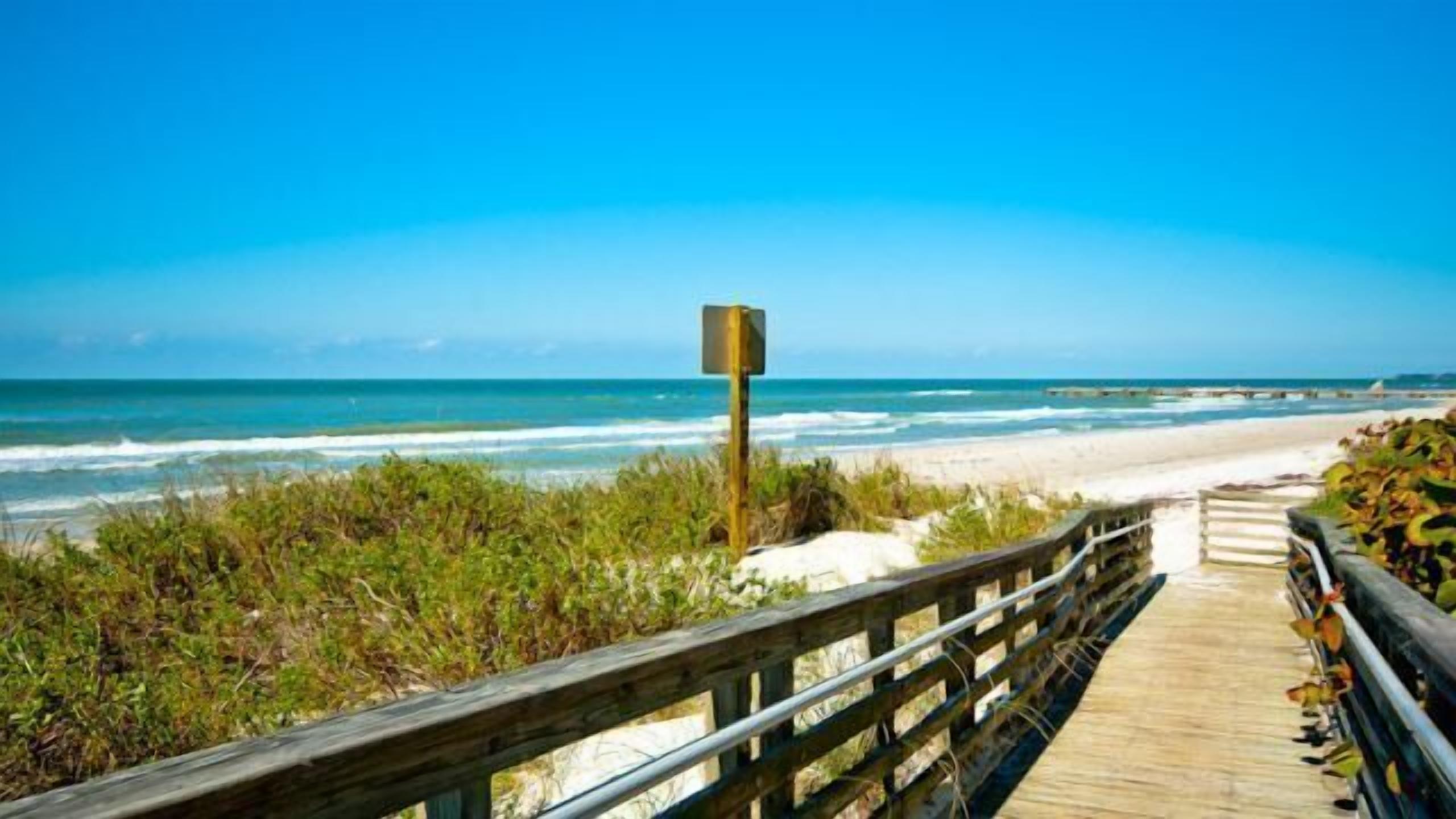 Playa en los alrededores 