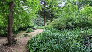 A forested area with a dirt path leading to a picnic table surrounded by lush greenery. - Eric's Landing ~ Riverfront, Fun with Friends Getaway! Dog Friendly! (Guerneville)