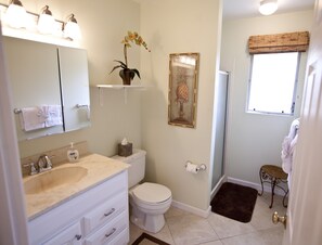 Dusch, hårtork, handdukar och tvål