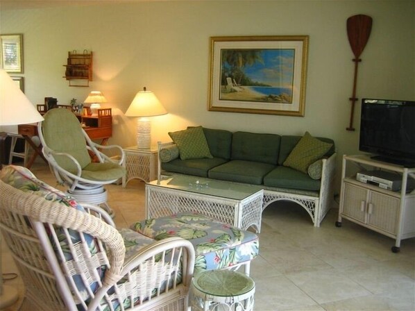 Tv, dvd-spelare och böcker