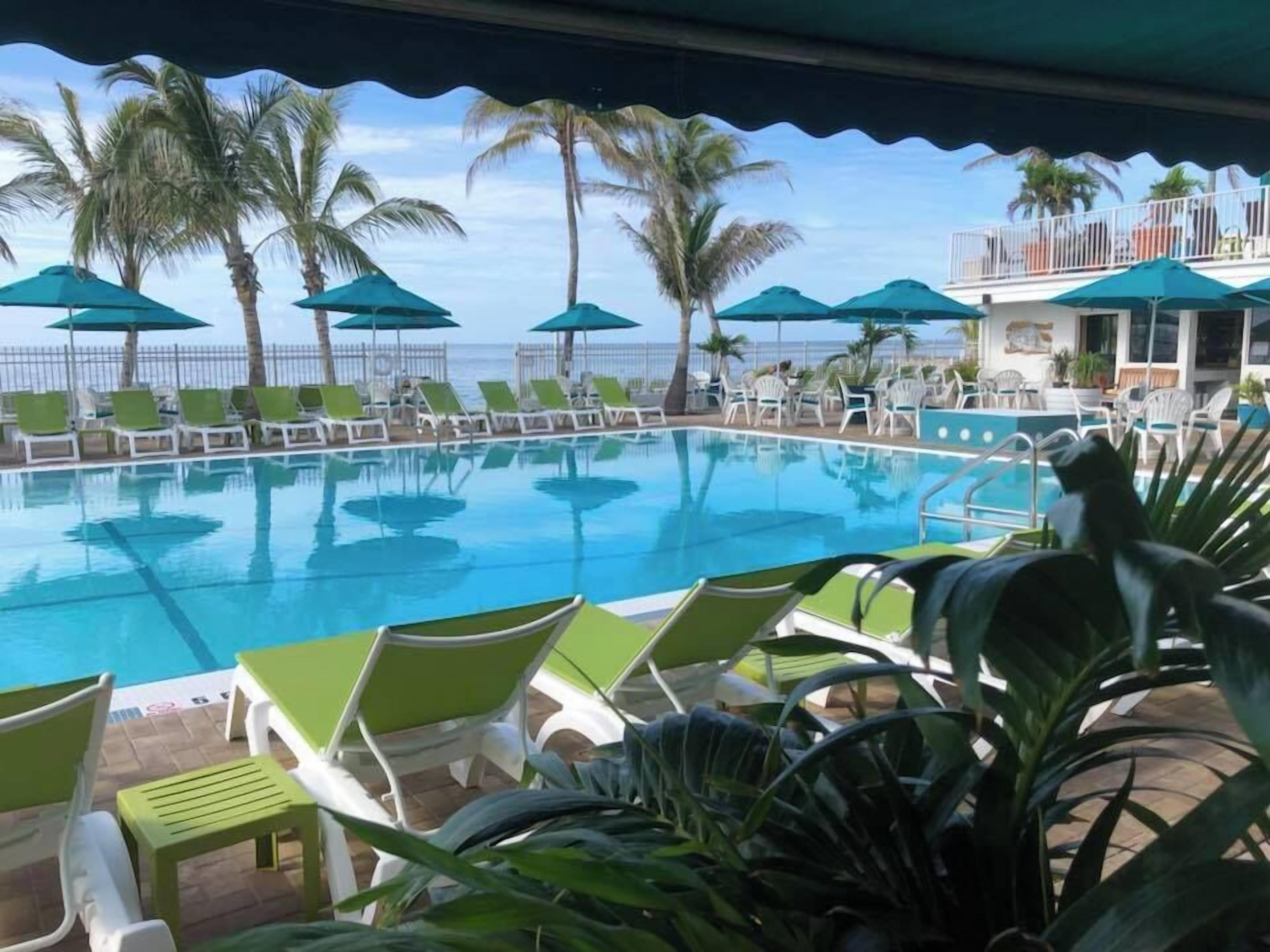 A pool with lounge chairs and umbrellas, palm trees, and a view of the ocean.