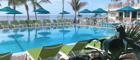 A pool with lounge chairs and umbrellas, palm trees, and a view of the ocean.