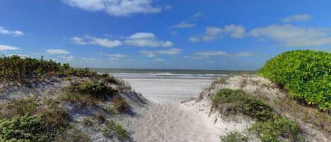 In Strandnähe