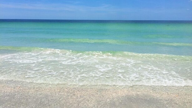 A beach with clear turquoise water and a sandy shore.