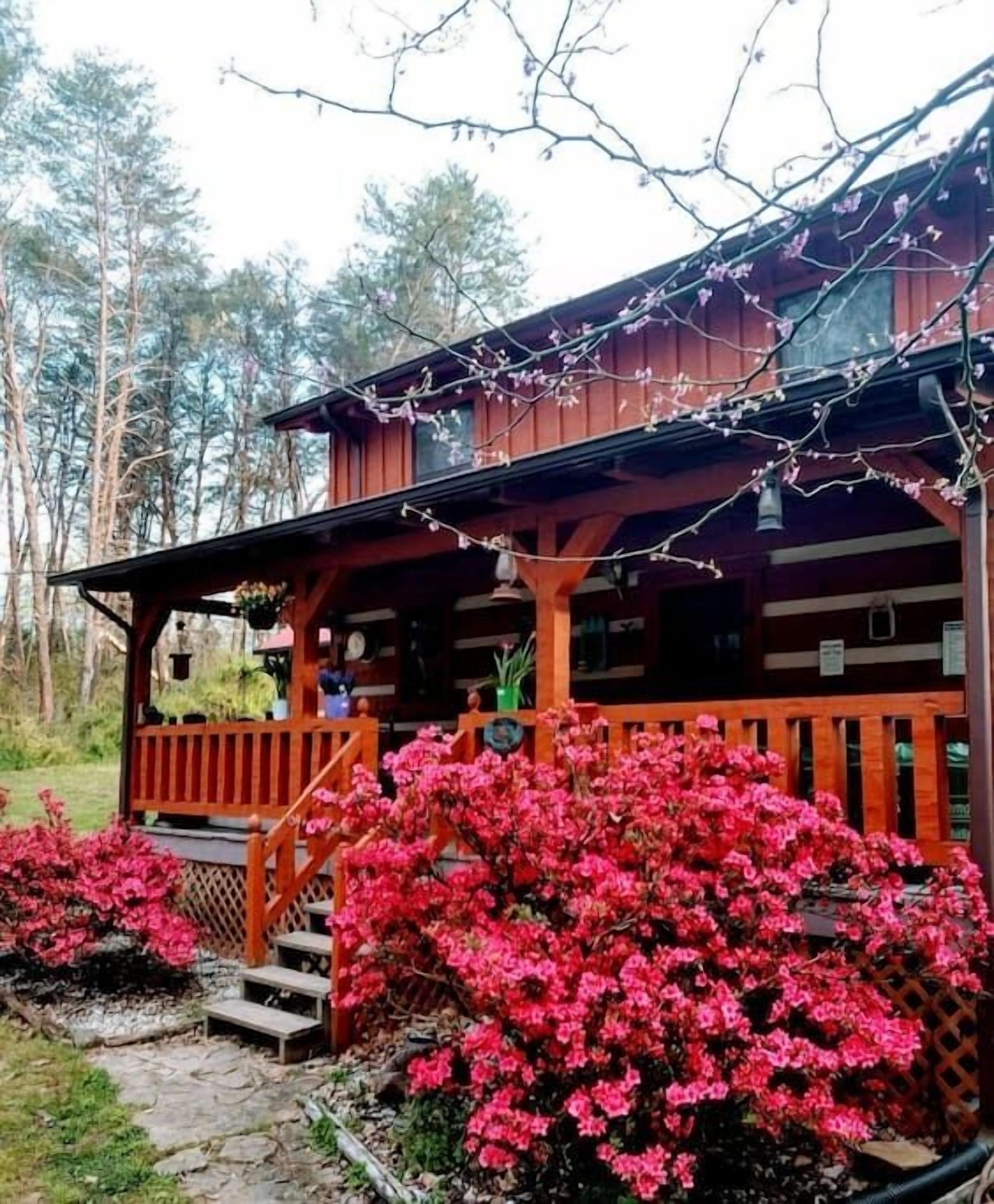 A wooden cabin with a porch, surrounded by red flowering bushes and trees.