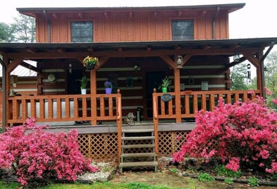 Cozy Country Cabin New: Hot Tub & Outdoor