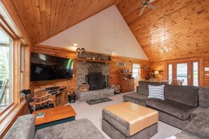 智能电视、壁炉、DVD 播放器