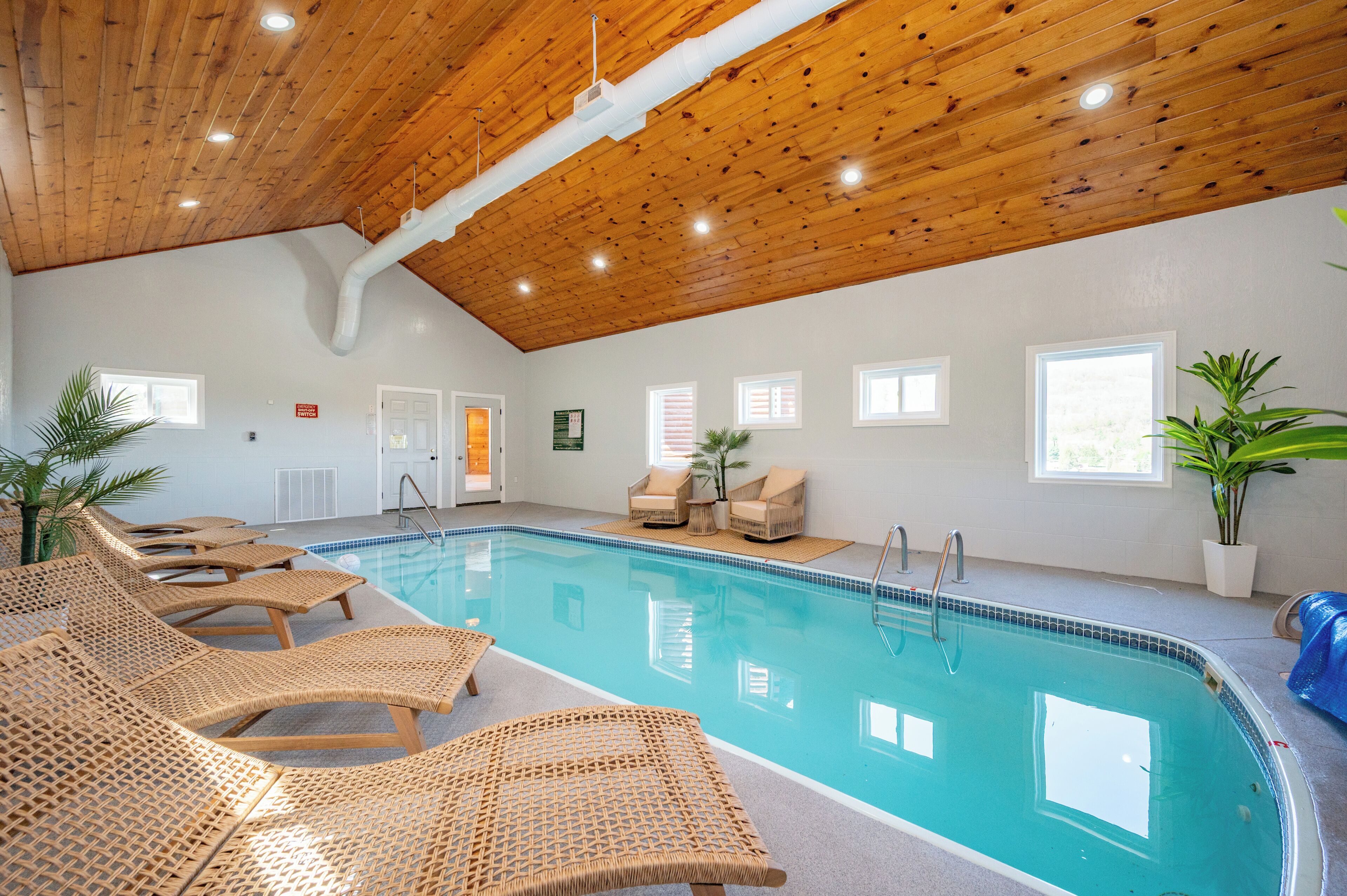 Una piscina interior con sillones de descanso, techo de madera y plantas en macetas.