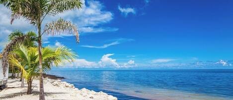 Am Strand, Strandtücher