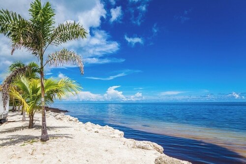 P41 - Beach Front condo avec 2 chambres, 2 salles de bain, piscine et courts de tennis!