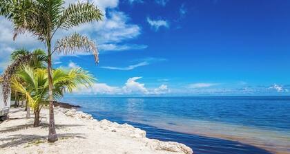 P41 - Beach Front condo avec 2 chambres, 2 salles de bain, piscine et courts de tennis!