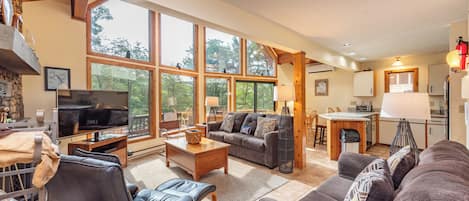 TV, fireplace, DVD player